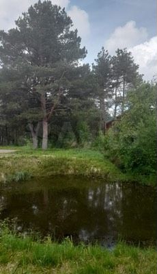Участок 20 сот. (ИЖС)
