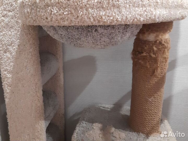 Когтеточка домик для кошки бу