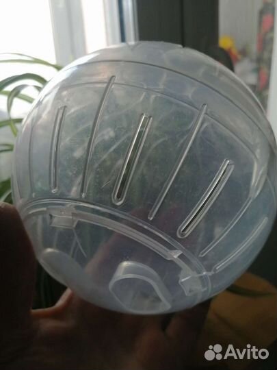 Прогулочный шар для грызунов