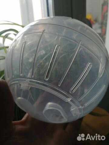 Прогулочный шар для грызунов