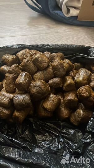 Прополис пчелиный