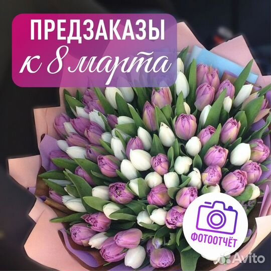 Тюльпаны к 8 марта 7 9 15 35