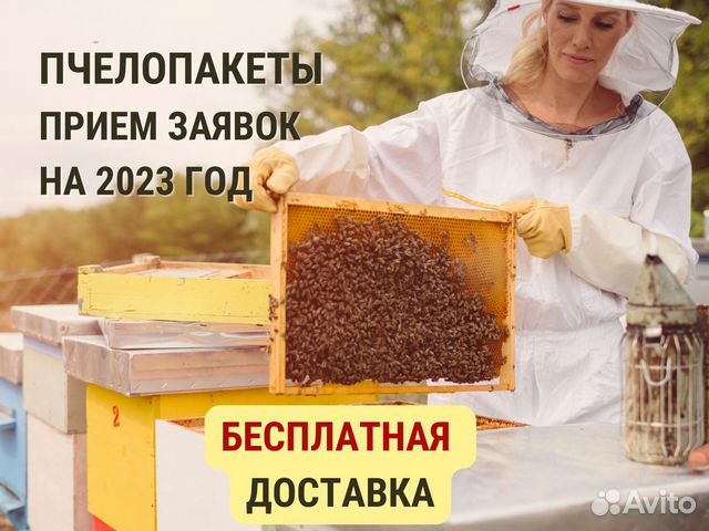 Пчелопакет Карпатка 2023. Доставка бесплатная