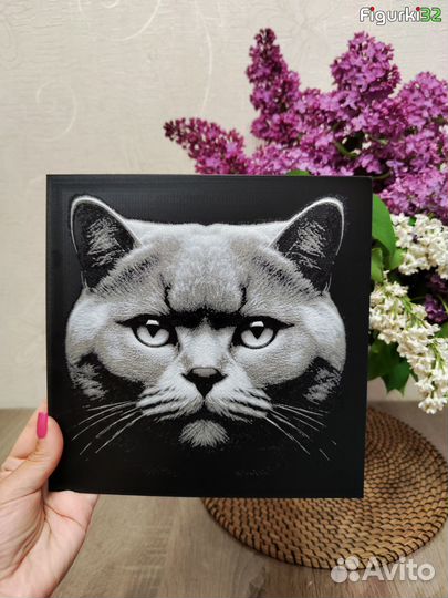 Коты - 3д-картины