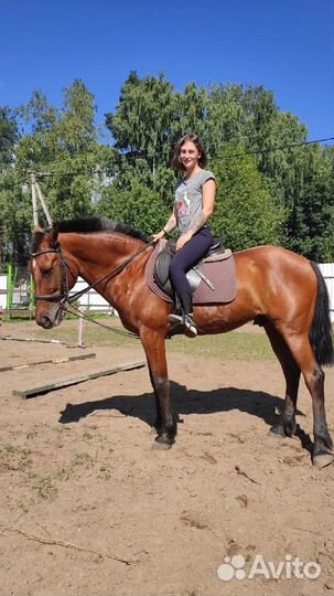 Берейтор, Коновод