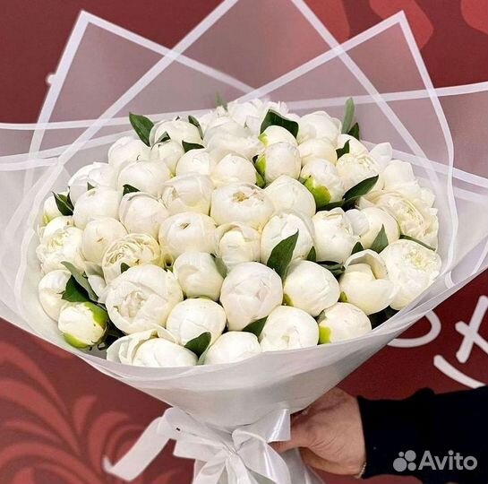 Пионы Букет пионов