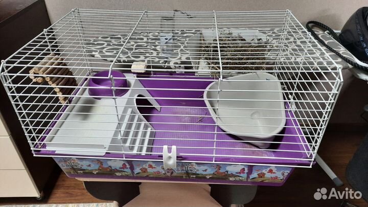 Клетка для морской свинки и доп. вещи