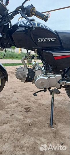 Alpha bandit sport