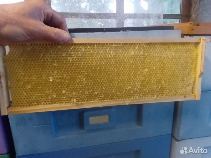 Сушь для пчёл