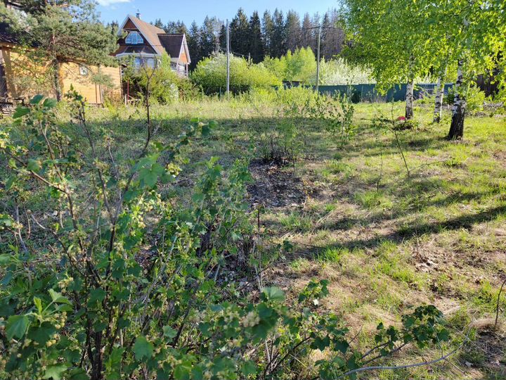 Участок 9 сот. (СНТ, ДНП)