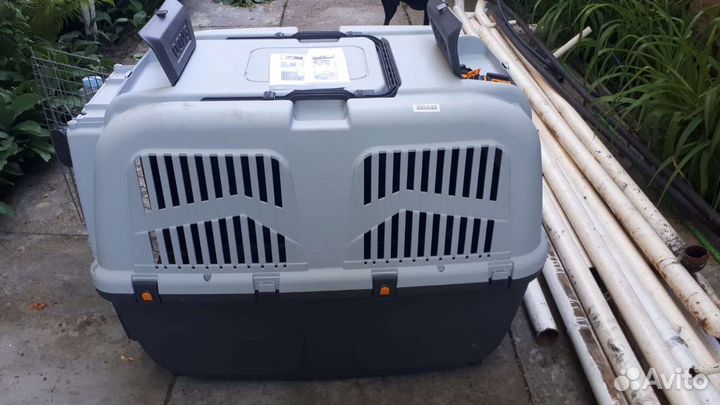 Для крупных собак на колесах