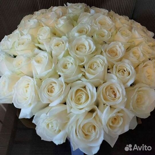 Высокие розы Гигантские розы Доставка цветов