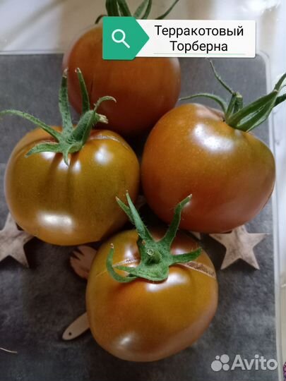 Семена коллекционных сортов томатов