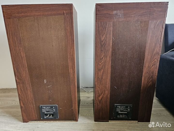 Акустические колонки radiotehnika S-90