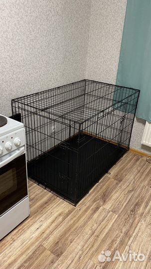 Клетка