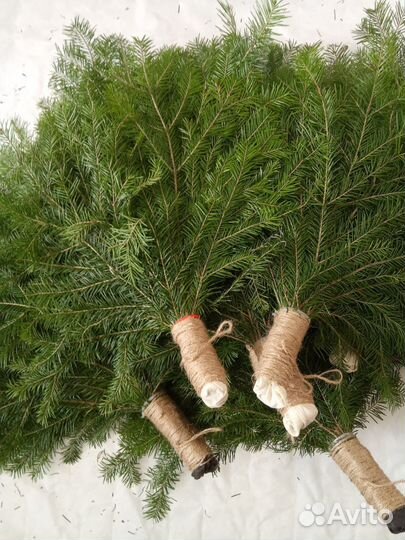 Можжевеловые пихтовое веники для банить в коробке