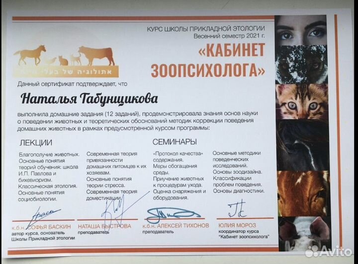 Зоопсихолог - онлайн консультации