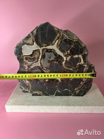 Спил септарии (2)