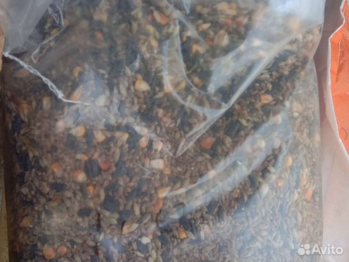 Зерносмесь, пшеница, овес, отруби, жом
