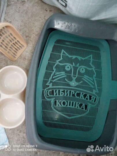 Лоток для кошек