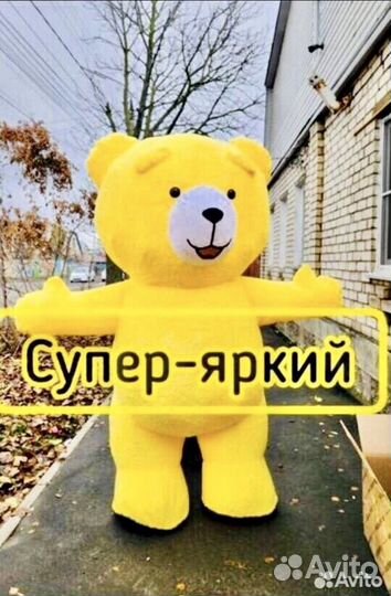 Супер яркий солнечный миша винни пух