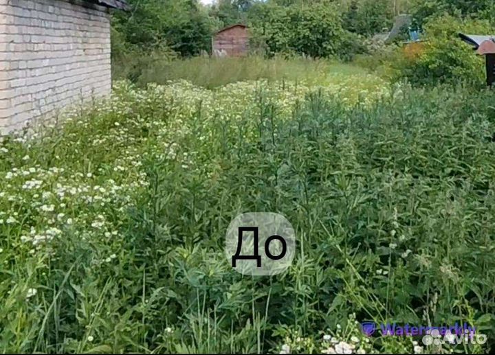 Покос травы