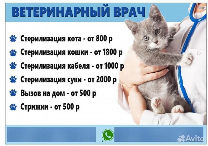 Ветеринарный врач