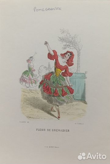 Винтажные иллюстрации Ожившие цветы Гранвиль