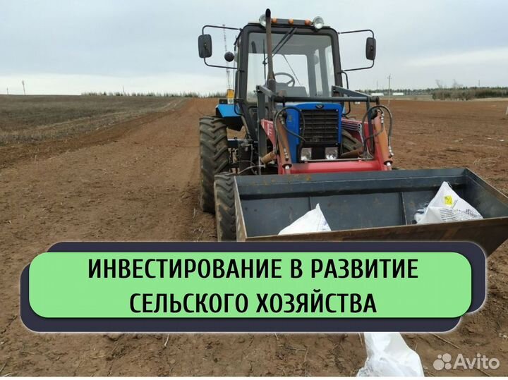 Инвестиции в сельское хозяйство