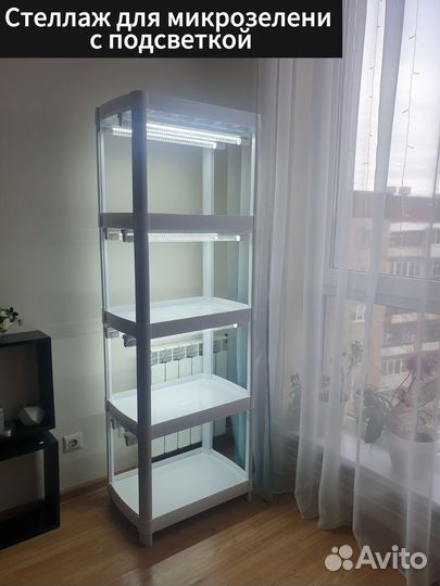 Микрозелень