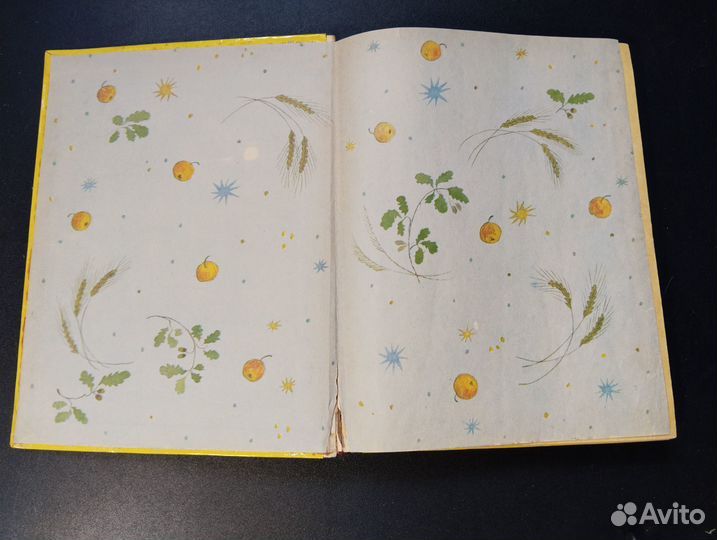 Звездочка, книга для внеклассного чтения во 2 клас