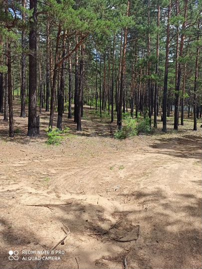 Участок 9,3 сот. (ИЖС)