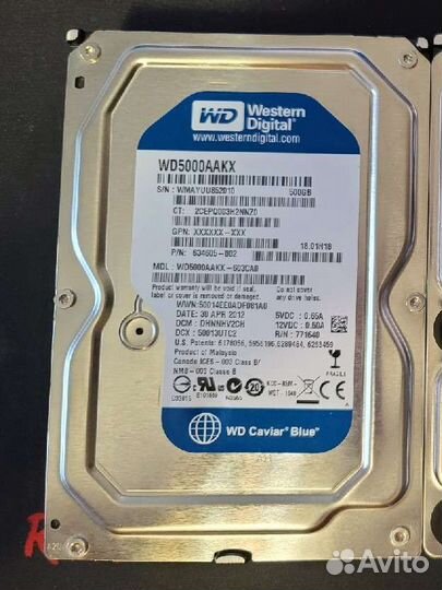 WD Blue 3.5 500 Гб
