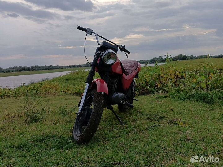 Продам сову