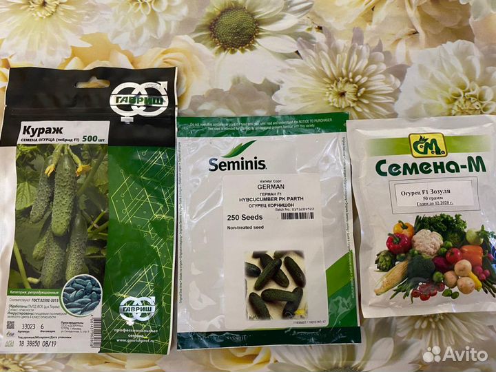 Рассада огурчиков Кураж,Герман и Китайский