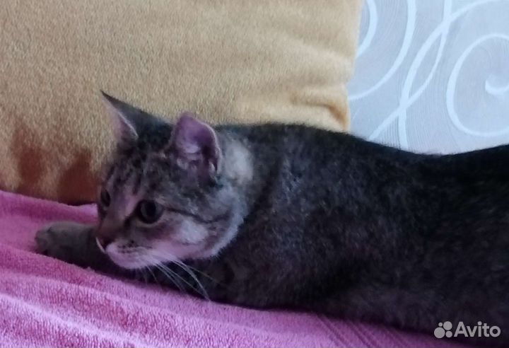 Добрая и ласковая Соня