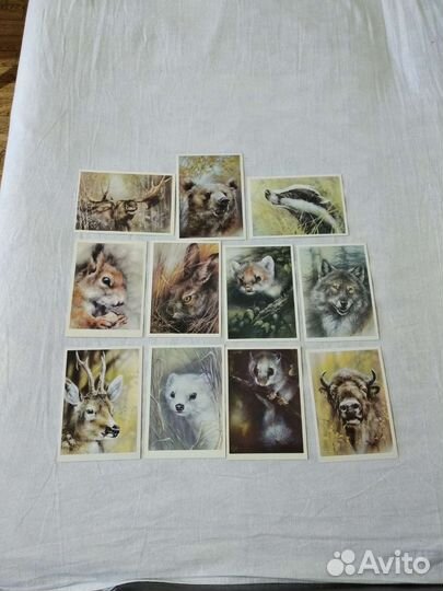 Художник А. Исаков. 1989год