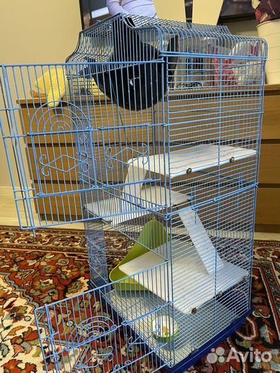 Большая клетка для крыс