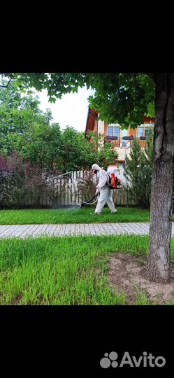 Обработка участков от клещей и комаров