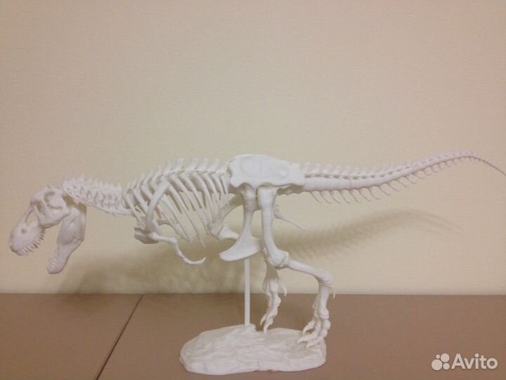 Динозавр - скелет (тиранозавр)