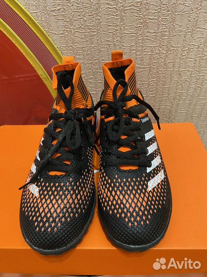 Сороконожка