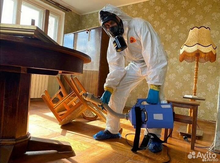 Уничтожение клопов тараканов мышей запаха блох