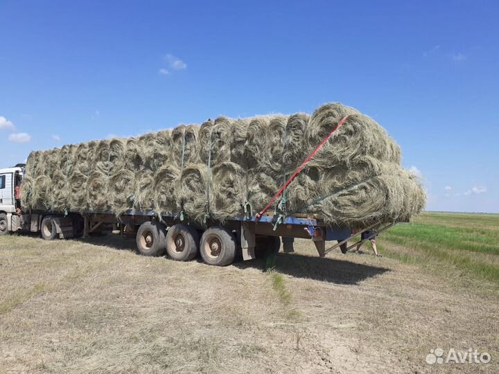 Сено в рулонах с доставкой