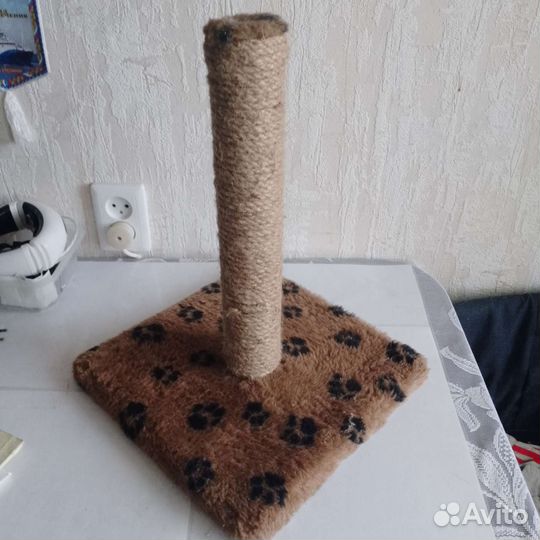 Когтеточка