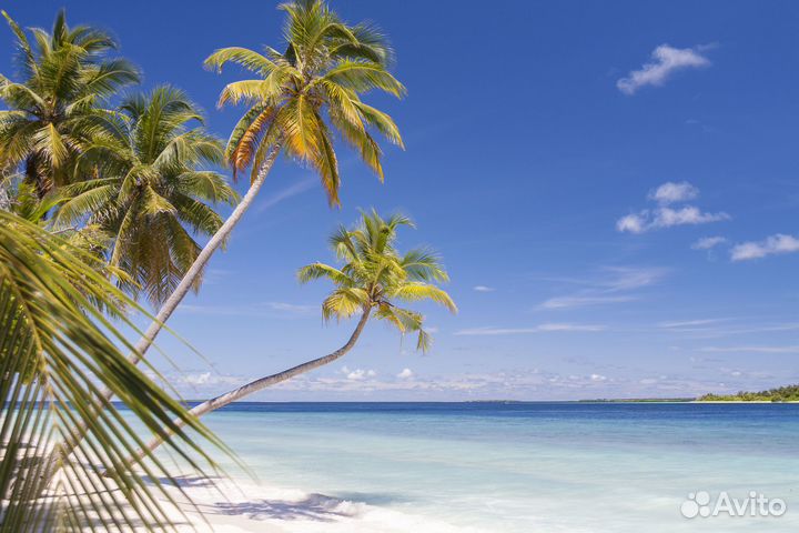 Мальдивы для всех круглый год