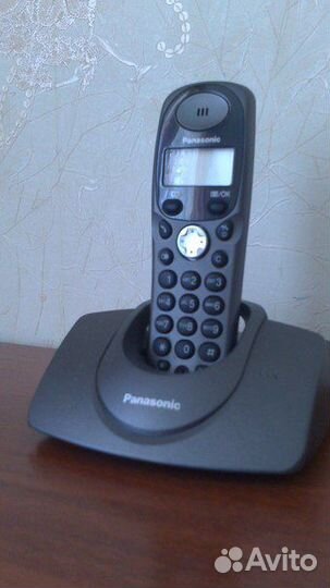 Panasonic