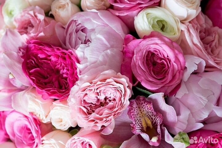 Пионы и пионовидные розы