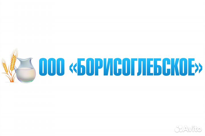 Медсестра/фельдшер предрейсовых осмотров