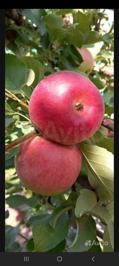 Дача 47 м² на участке 6 сот.