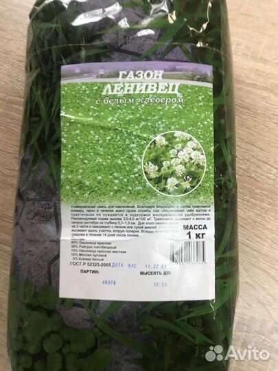 Газон и сидераты